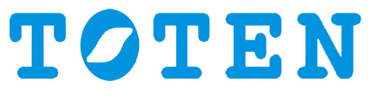 TOTEN EQUIPMENT(SHENZHEN)CO.,LTD. logo