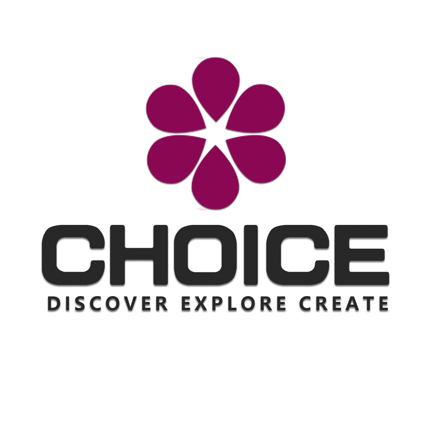WENZHOU CHOICE TRADING CO., LTD. logo