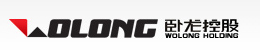WOLONG ELECTRIC GROUP CO.,LTD. logo