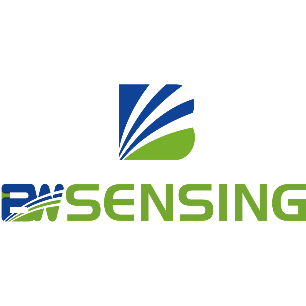 Wuxi Bewis Sensing Technology LLC logo