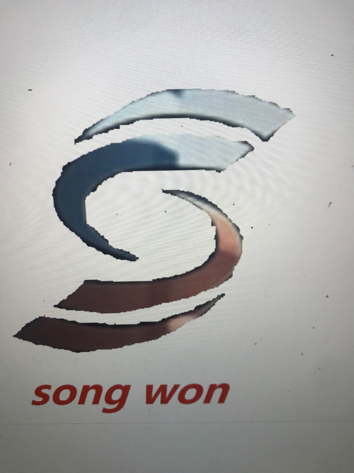 xuancheng city songwon trading co.,ltd logo