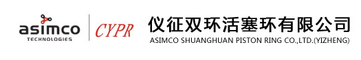 YIZHENG SHUANG HUAN PISTON RING CO., LTD. logo