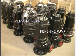 ZHANGJIAGANG FREE TRADE ZONE KENSHINE INTERNATIONAL TRADING CO.,LTD logo