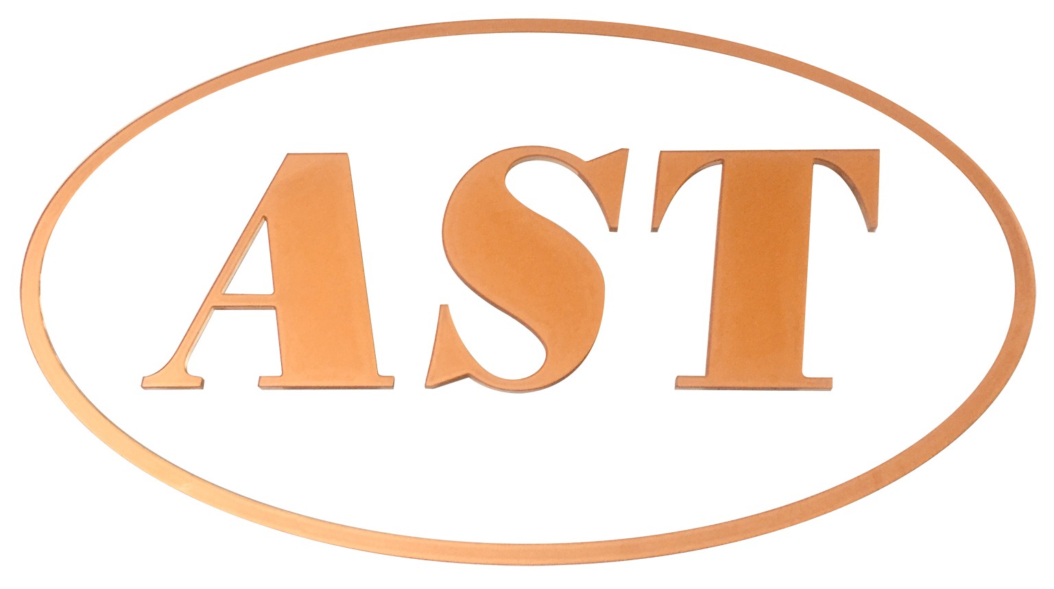 ZHEJIANG AOSITE AUTO PARTS CO.,LTD logo