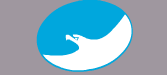 ZHEJIANG GOLDEN EAGLE CO., LTD. logo