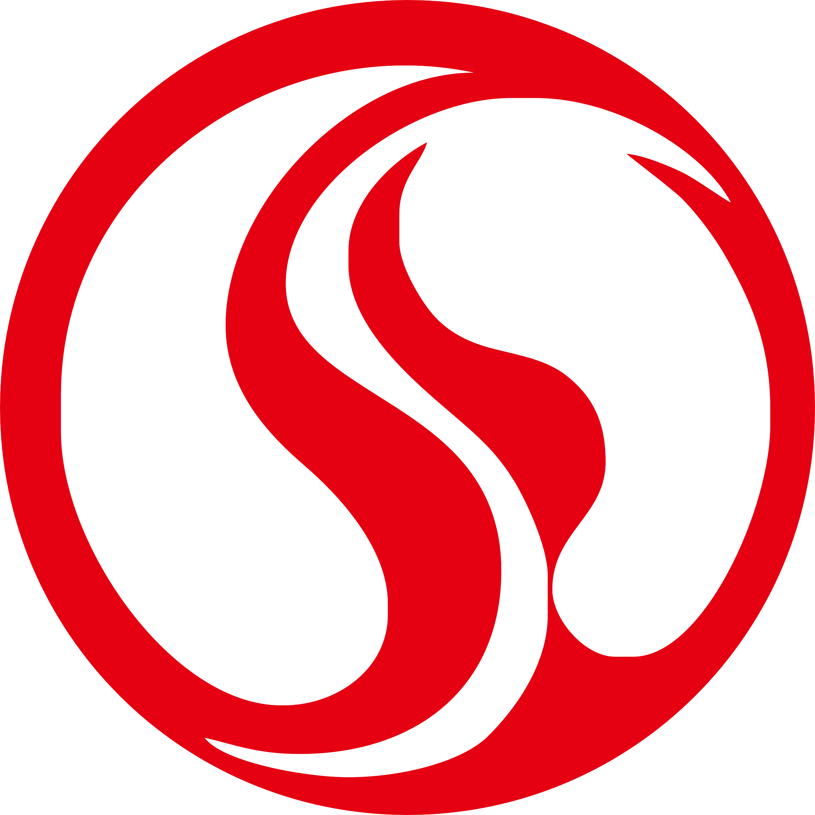ZHEJIANG SHENGYANG SCIENCE& TECHNOLOGY CO., LTD. logo