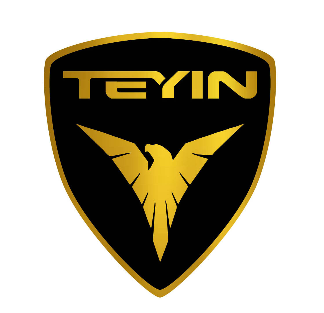 ZHEJIANG TIANYING LOCOMOTIVE CO.,LTD logo