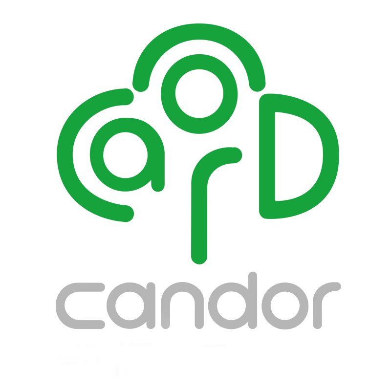 ZHONGSHAN CANDOR ELECTRIC APPLIANCES CO.,LTD. logo