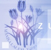ZHUZHOU R.M.L IMPORT AND EXPORT CO.,LTD. logo