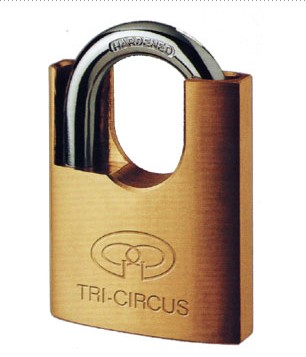 Hardened Steel Shackle Padlock