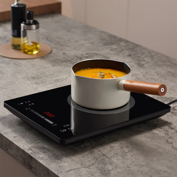 Portable Induction Cooktop with Pot