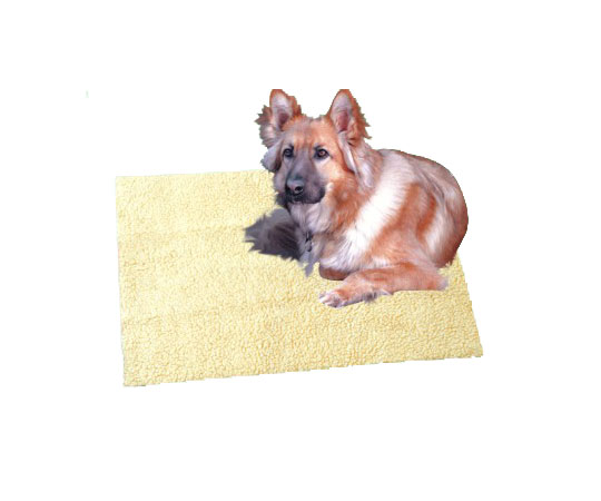 German Shepherd Dog on Yellow Rug