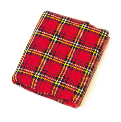 Red Tartan Protective Carrying Case