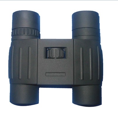 Compact Binoculars with Central Focus