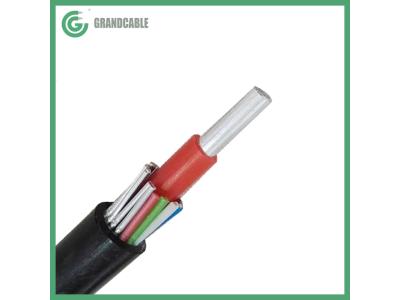0.6/1kV Aluminum LV Concentric Service Cable with Netural Screen - Image 2