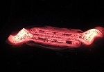 0.75Tons Drop Forging Hammer for Pliers/Spanners/Wrenches Forge in India - Image 2