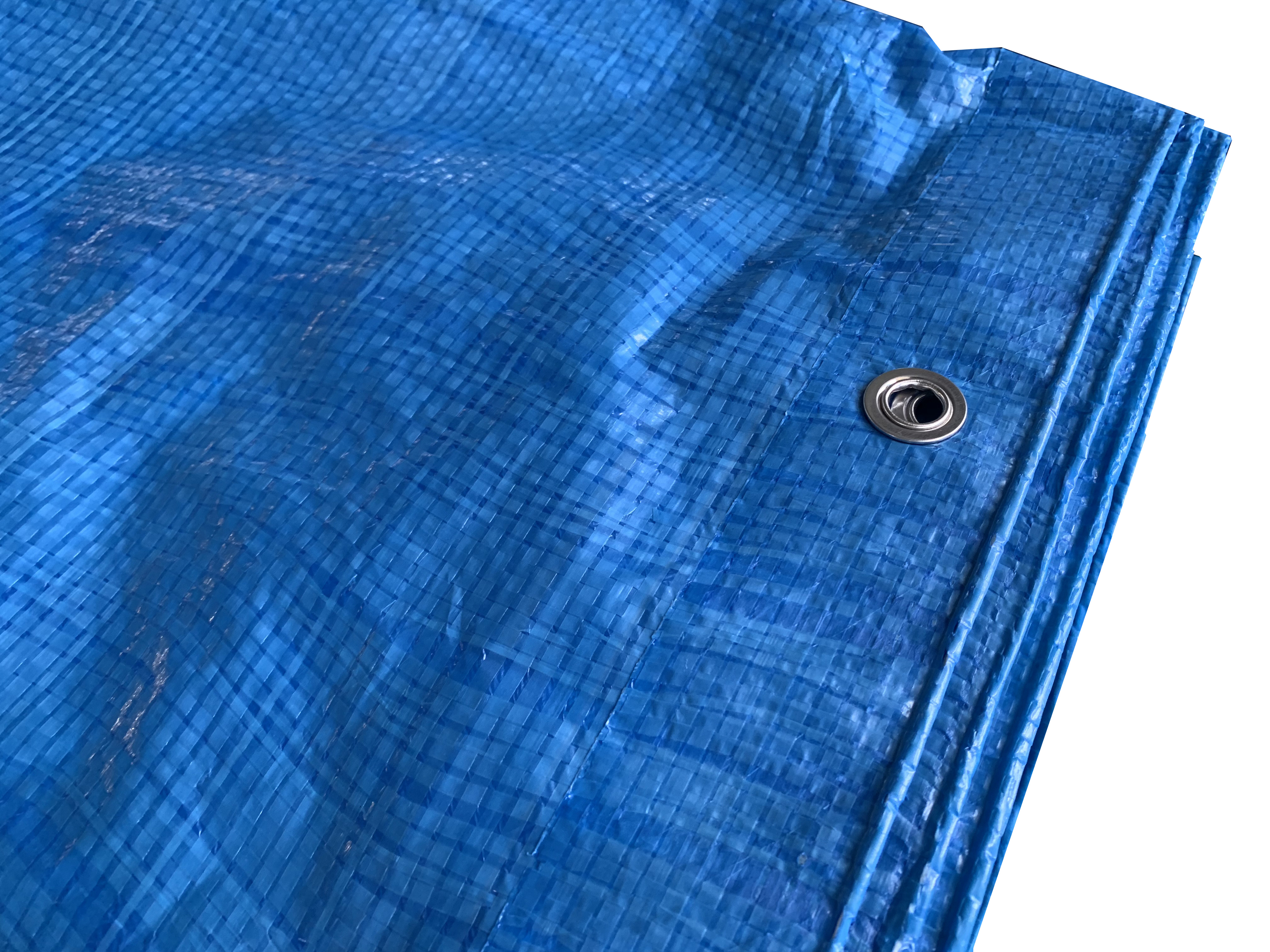 #1000 BLUE SHEET - Image 2