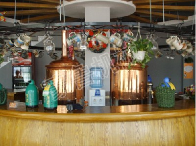 100L Micro Beer Brewing System