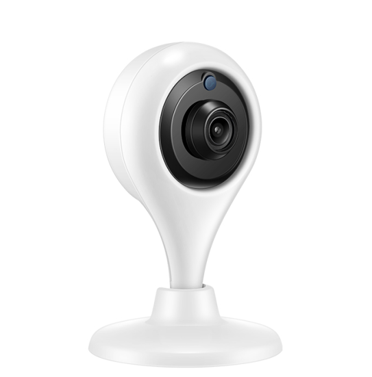 1080P Wireless IP Camera with AI Detection