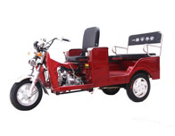 110cc Utility Motorized Tricycle