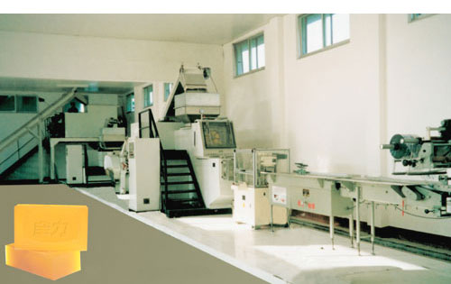 Automated Toilet Soap Production Line, 1200 kg/h