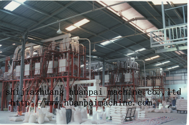 120ton maize milling equipment - Image 3