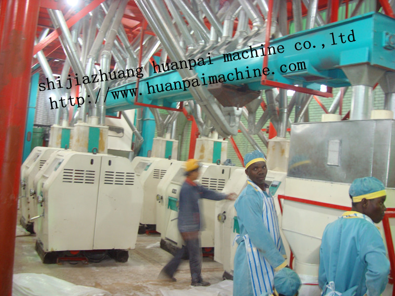 120ton maize milling equipment - Image 2