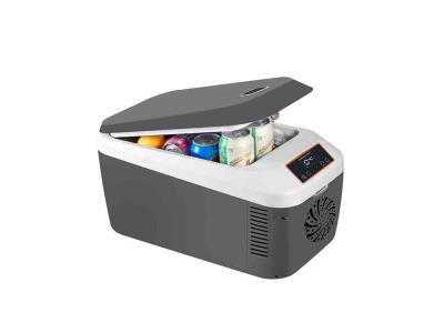 12/24 liter 12V 240v Portable camping electric cooler box car refrigerator mini fridge - Image 2