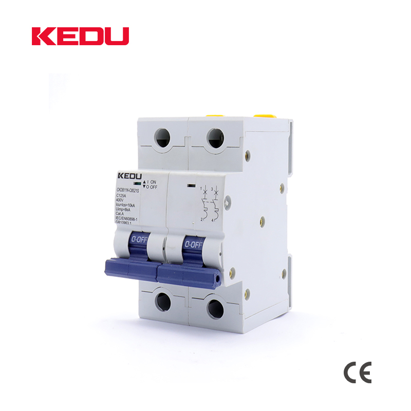125A AC Circuit Breaker 2P (80A 100A 125A) 10KA For domestic or industrial applications - Image 3