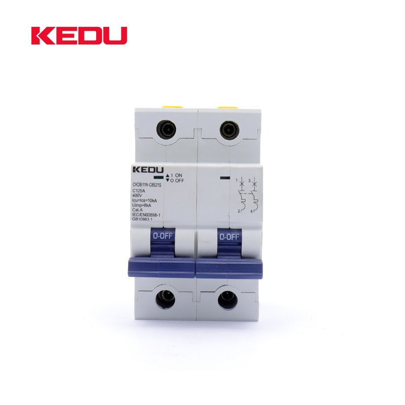 125A AC Circuit Breaker 2P (80A 100A 125A) 10KA For domestic or industrial applications - Image 2