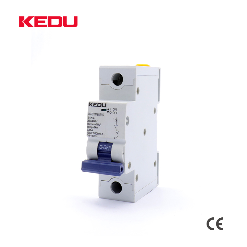 125A AC Circuit Breaker1P (80A 100A 125A)10KA For domestic or industrial applications - Image 3