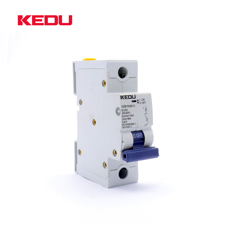 125A AC Circuit Breaker1P (80A 100A 125A)10KA For domestic or industrial applications - Image 2