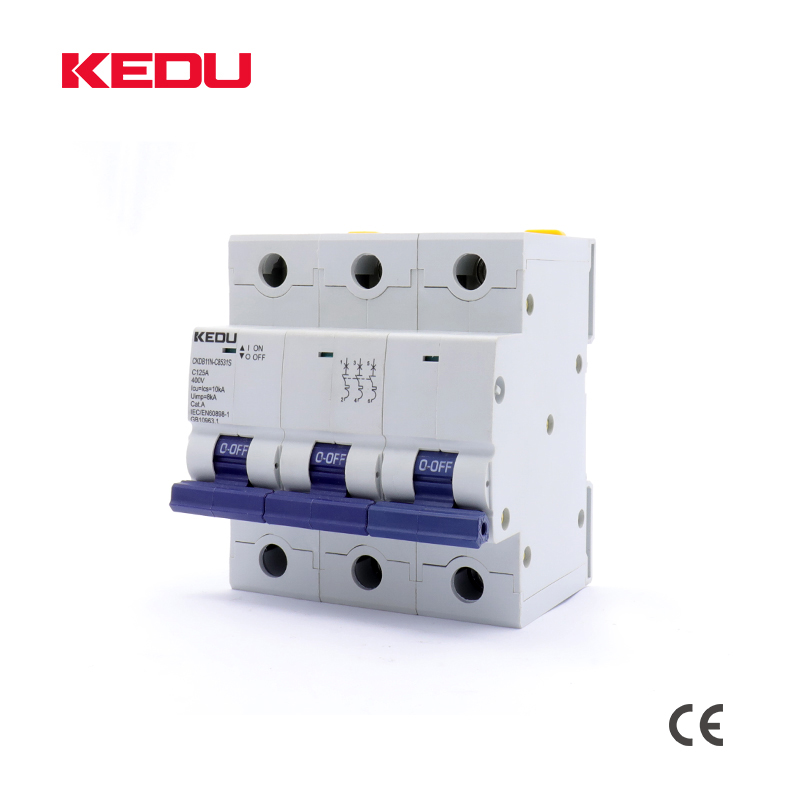 125A Cirtcuit Breader (AC/DC/PV) 3P (80-125A) - Image 3
