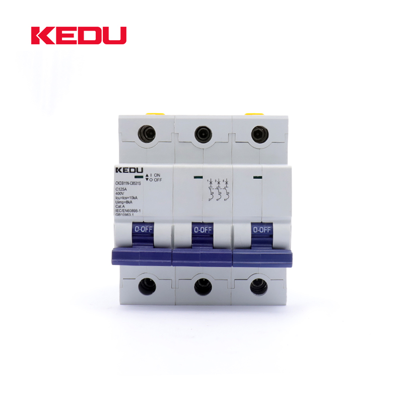125A Cirtcuit Breader (AC/DC/PV) 3P (80-125A) - Image 2