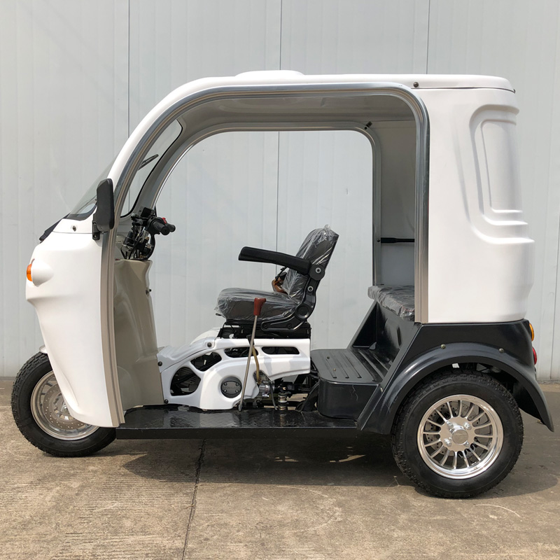 125cc gas tricycle - Image 2