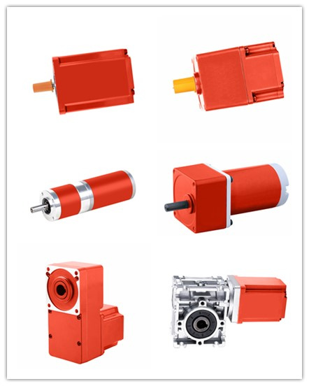 Various DC gear motor models with planetary gearboxes