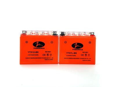 12V AGM Motorcycle Battery