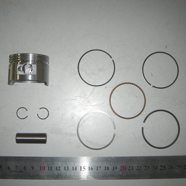 Piston Assembly with Rings and Wrist Pin