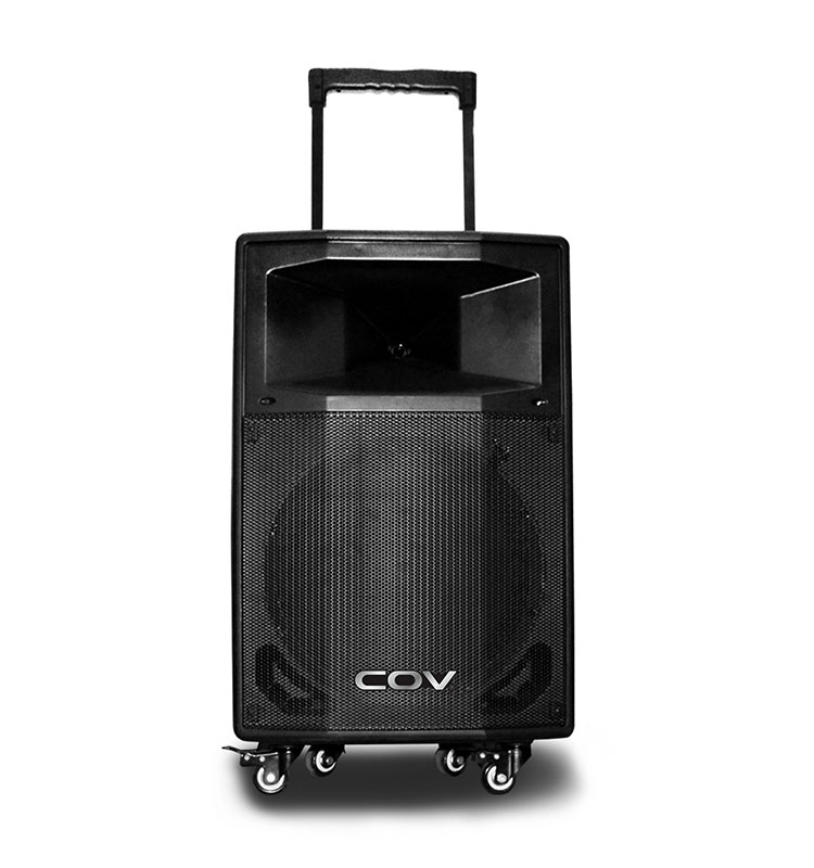 15 inch plastic trolley speaker with microphone - Image 2