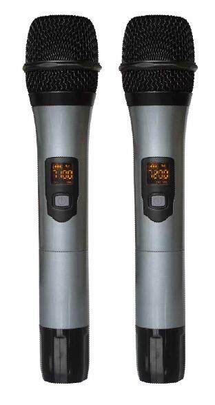 Portable Trolley Speaker with Microphone