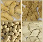 Industrial Soya Protein Processing Line