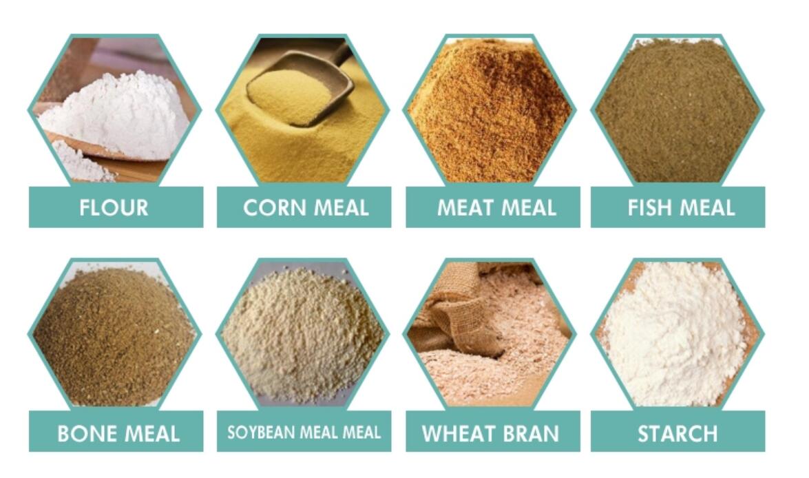 Display of raw materials including corn, meat, and fish meal