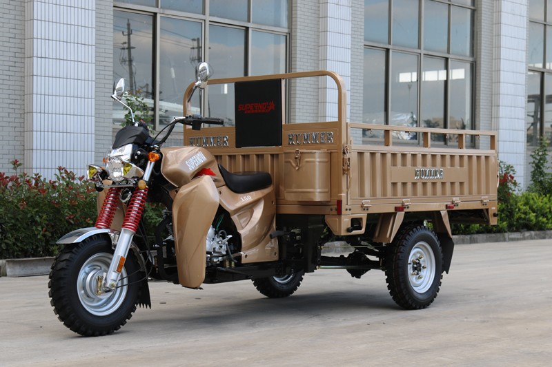 150CC Gasoline Cargo Tricycle with EEC - Image 3