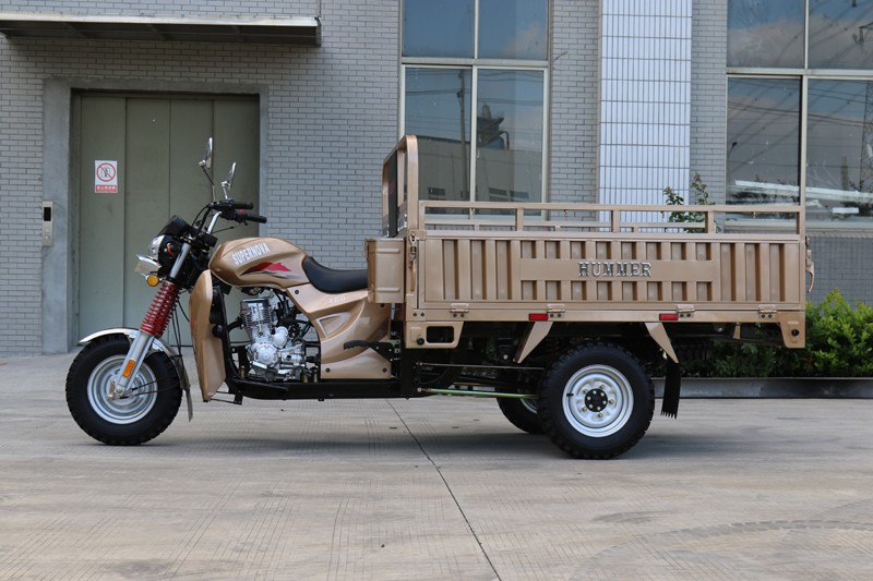 150CC Gasoline Cargo Tricycle with EEC - Image 2