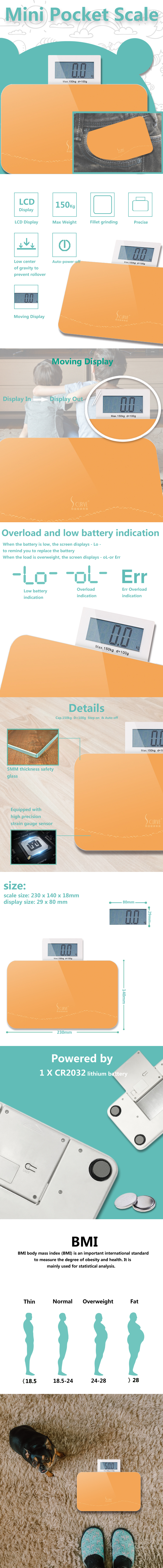Mini Pocket Scale features and technical details