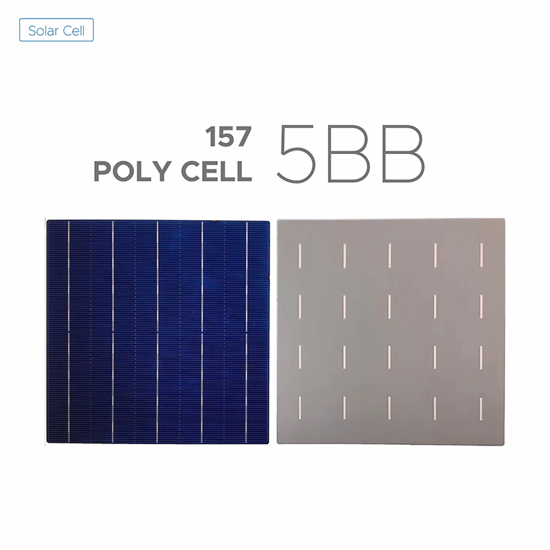157mm Polycrystalline 5BB Solar Cell