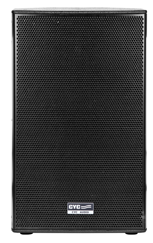 15inch professional wooden speaker with 500W RMS power - Image 2