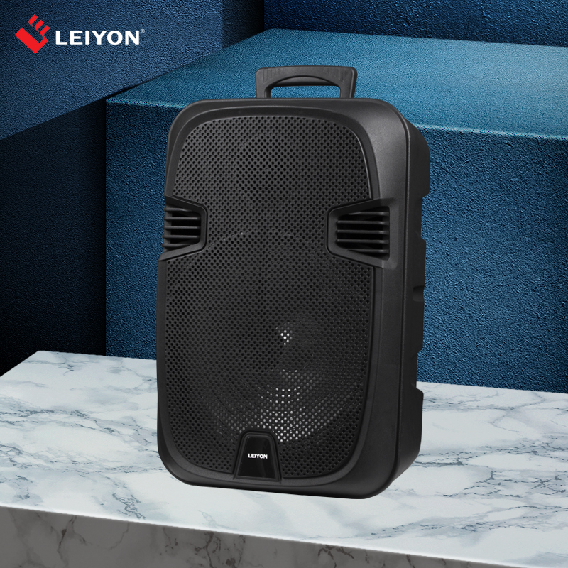 15W 30W RMS 12 inch portable bluetooth outdoor speaker with battery - Image 2