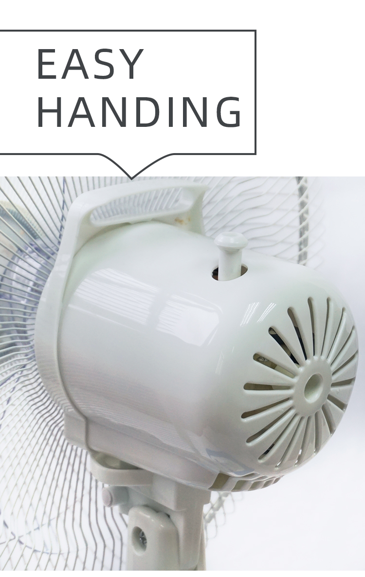Fan rear view with handle