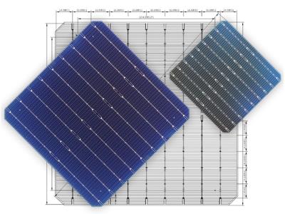 166mm Monocrystalline Bifacial PERC Solar Cell